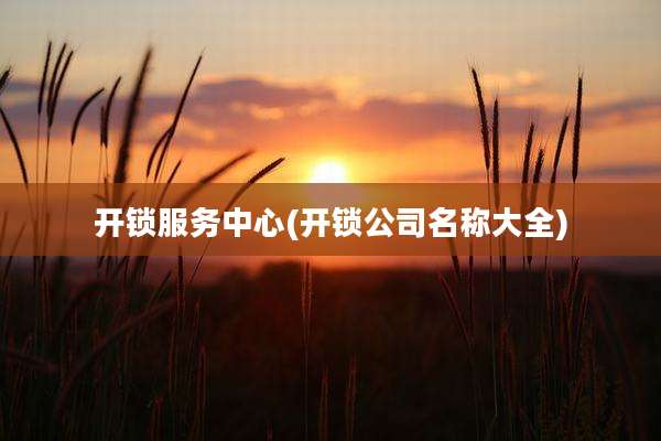 开锁服务中心(开锁公司名称大全)