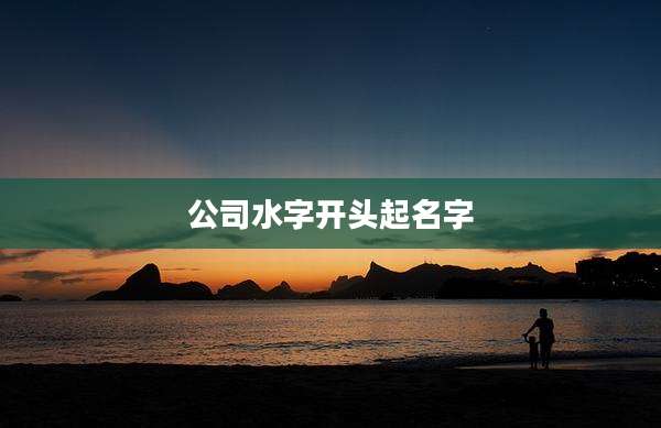 公司水字开头起名字