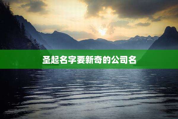 圣起名字要新奇的公司名