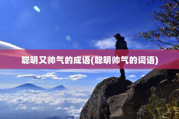 聪明又帅气的成语(聪明帅气的词语)