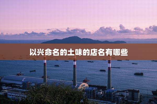 以兴命名的土味的店名有哪些