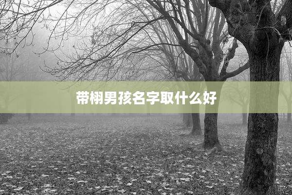 带栩男孩名字取什么好