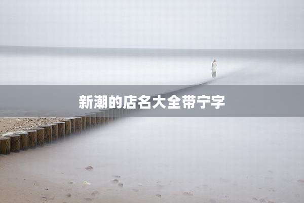 新潮的店名大全带宁字