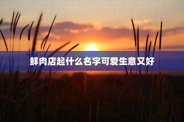 鲜肉店起什么名字可爱生意又好