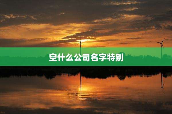 空什么公司名字特别