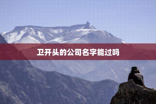卫开头的公司名字能过吗