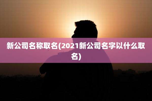 新公司名称取名(2021新公司名字以什么取名)