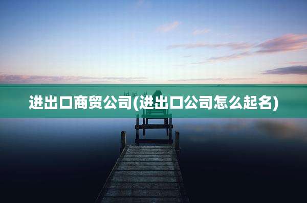 进出口商贸公司(进出口公司怎么起名)