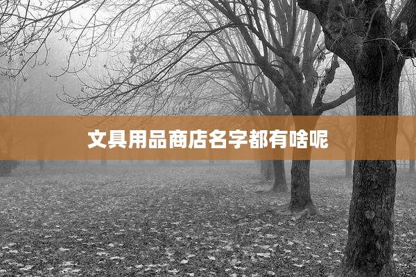 文具用品商店名字都有啥呢