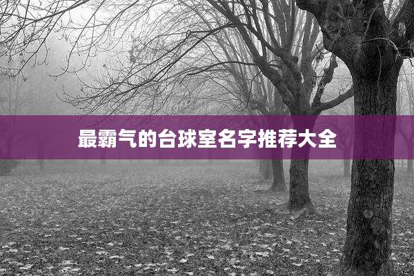 最霸气的台球室名字推荐大全