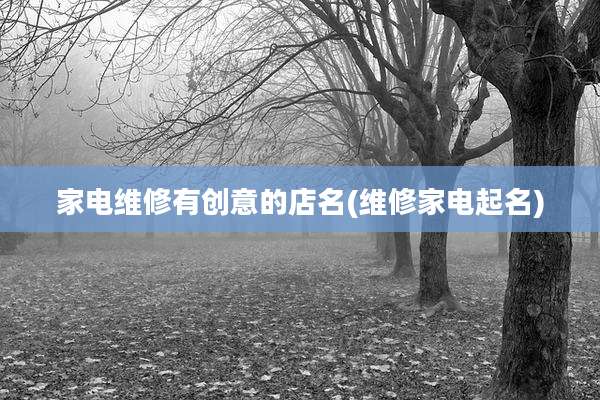 家电维修有创意的店名(维修家电起名)