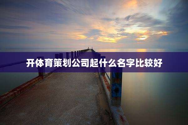 开体育策划公司起什么名字比较好