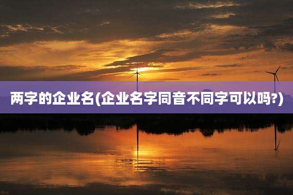 两字的企业名(企业名字同音不同字可以吗?)