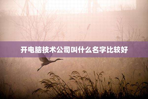 开电脑技术公司叫什么名字比较好