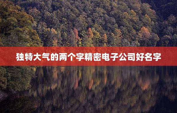 独特大气的两个字精密电子公司好名字