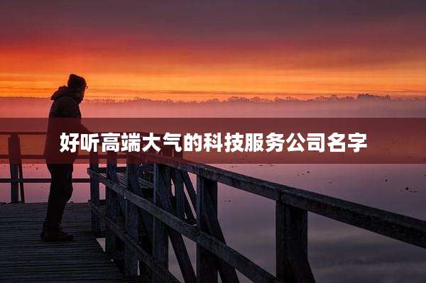 好听高端大气的科技服务公司名字