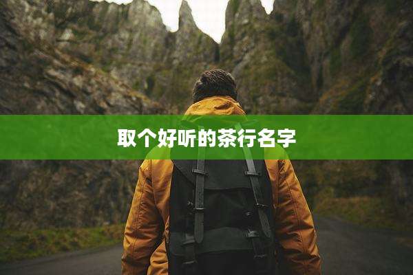 取个好听的茶行名字