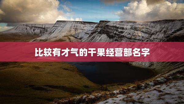 比较有才气的干果经营部名字
