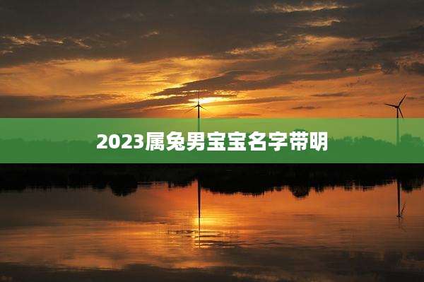2023属兔男宝宝名字带明