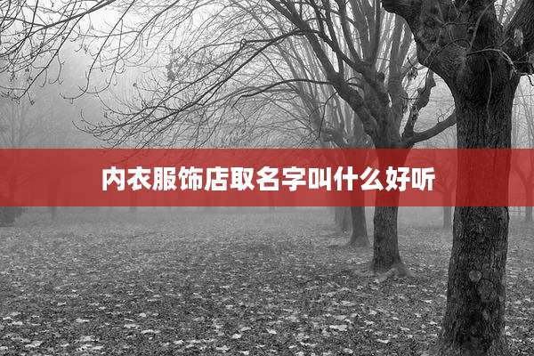 内衣服饰店取名字叫什么好听