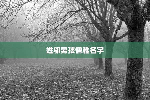 姓邬男孩儒雅名字