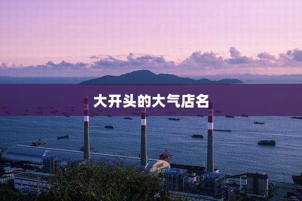 大开头的大气店名