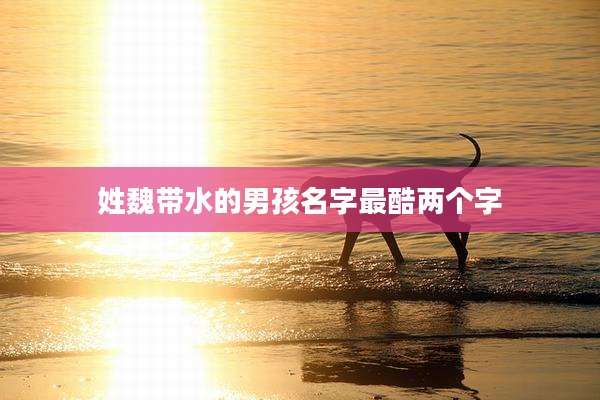 姓魏带水的男孩名字最酷两个字