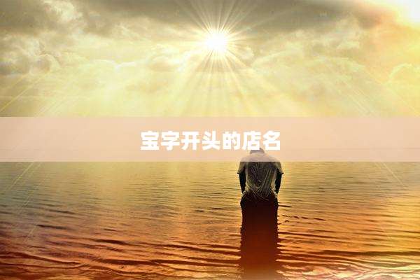 宝字开头的店名
