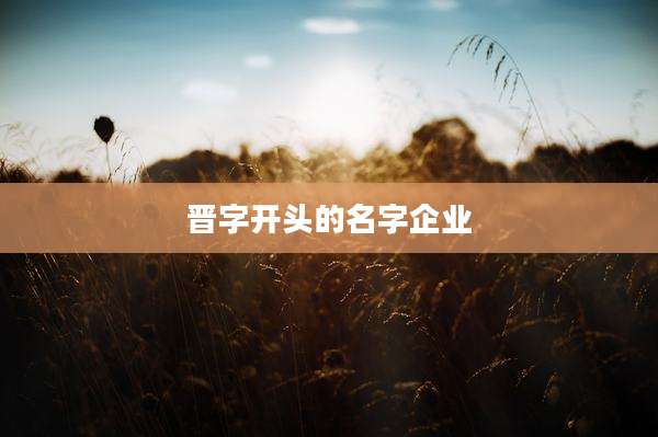 晋字开头的名字企业