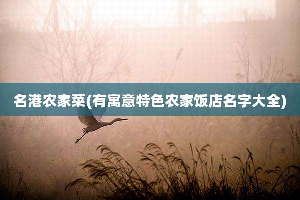 名港农家菜(有寓意特色农家饭店名字大全)