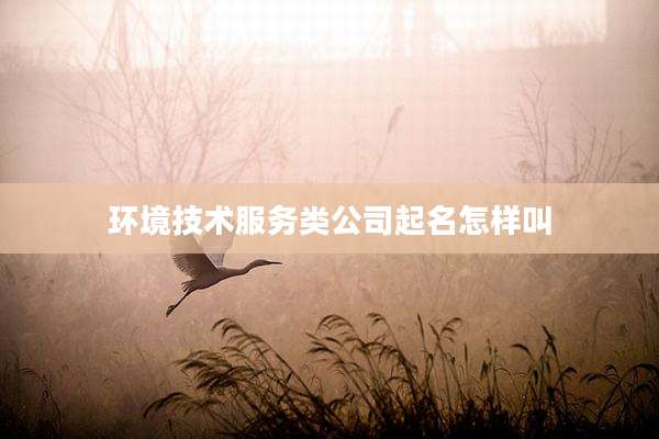 环境技术服务类公司起名怎样叫