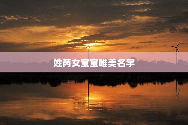 姓芮女宝宝唯美名字