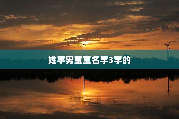 姓宇男宝宝名字3字的