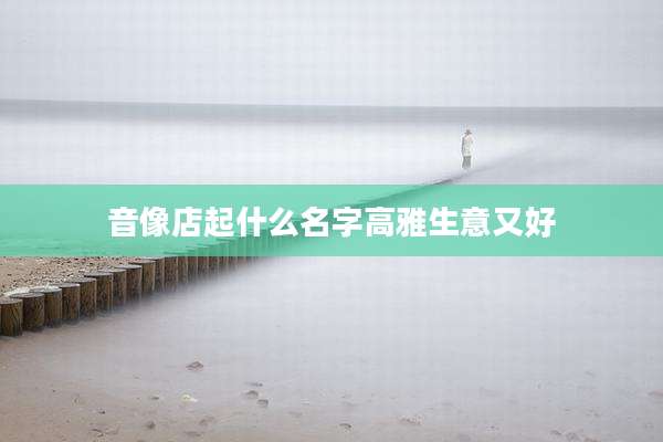 音像店起什么名字高雅生意又好