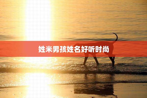 姓米男孩姓名好听时尚