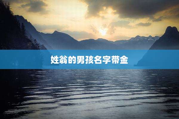 姓翁的男孩名字带金