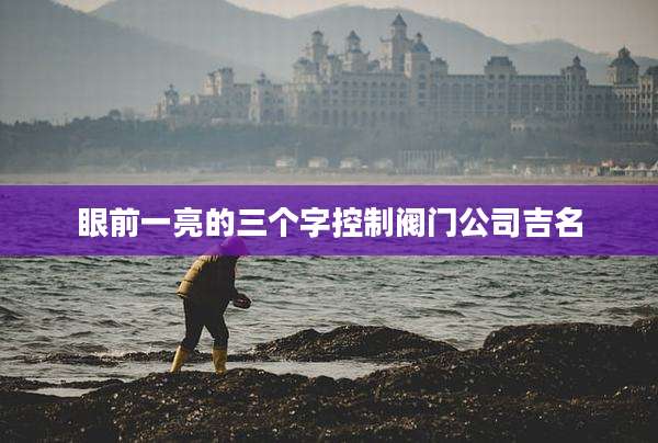 眼前一亮的三个字控制阀门公司吉名