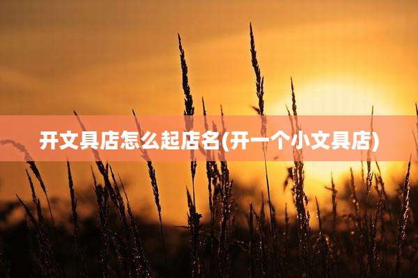 开文具店怎么起店名(开一个小文具店)