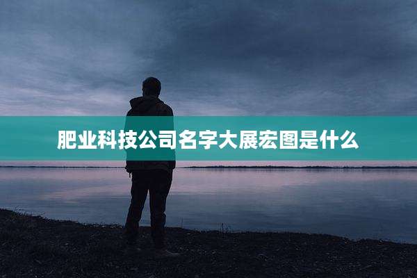 肥业科技公司名字大展宏图是什么