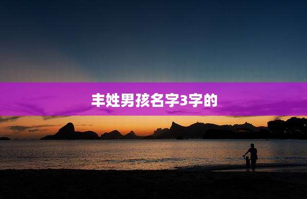 丰姓男孩名字3字的