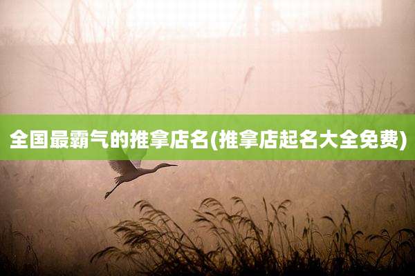 全国最霸气的推拿店名(推拿店起名大全免费)