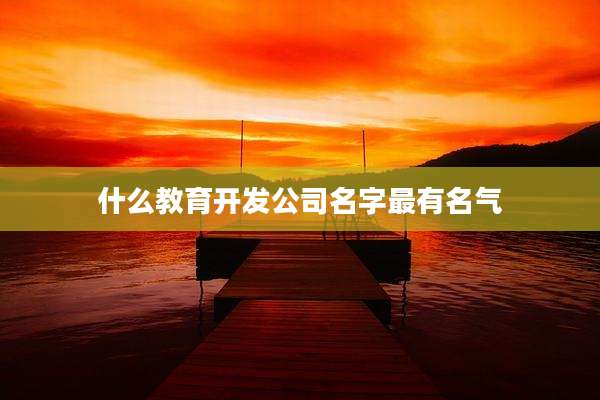 什么教育开发公司名字最有名气