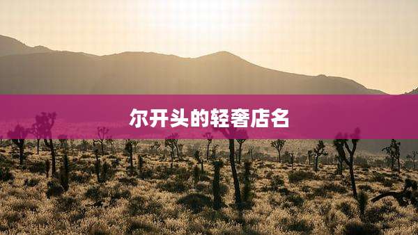 尔开头的轻奢店名