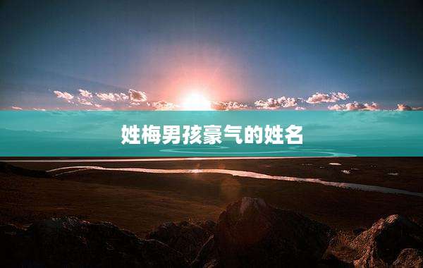 姓梅男孩豪气的姓名