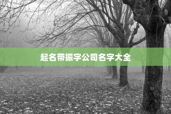 起名带振字公司名字大全