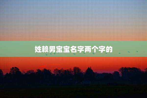 姓赖男宝宝名字两个字的