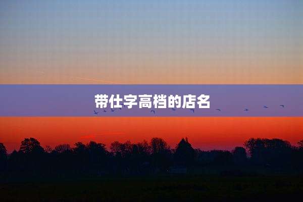 带仕字高档的店名