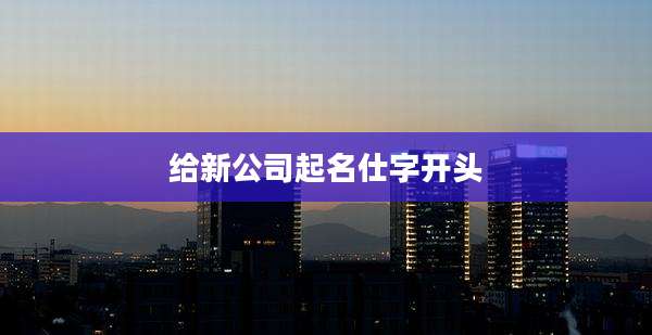 给新公司起名仕字开头