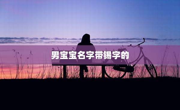 男宝宝名字带锡字的