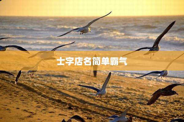 士字店名简单霸气